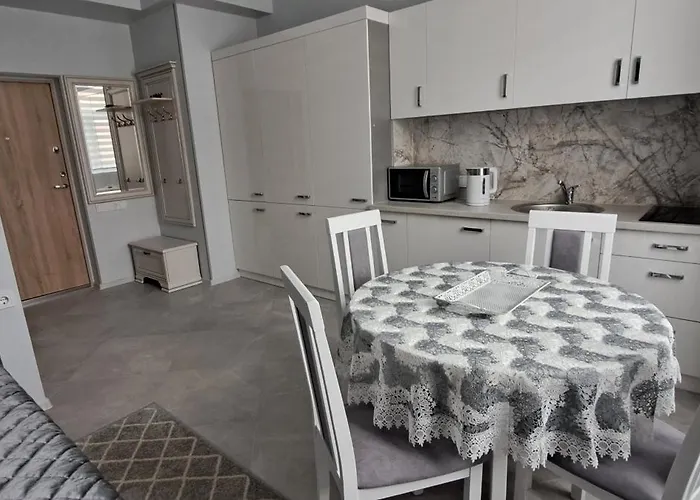 Apartamentai Mazvydo Alejoje Daire