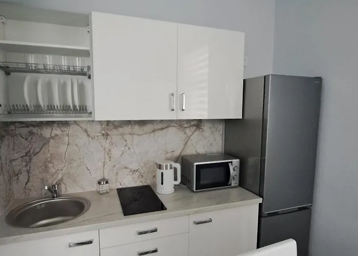 Apartamentai Mazvydo Alejoje Daire *